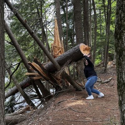 reslife-camp-down-tree-in-woods